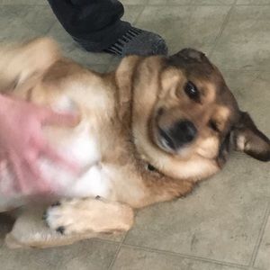 Meet your Posher, Carolyn